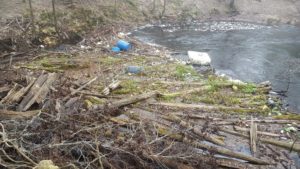 Aucilla River Disappears