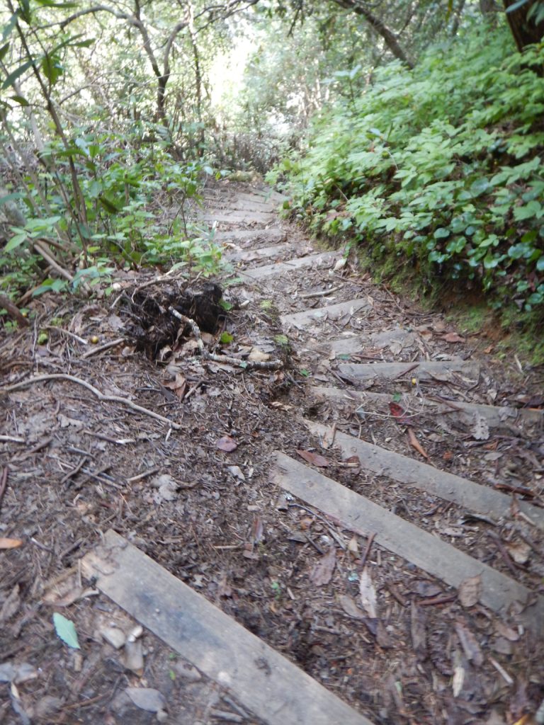 Anthony Galluscio Typical Steps on Foothills Trail