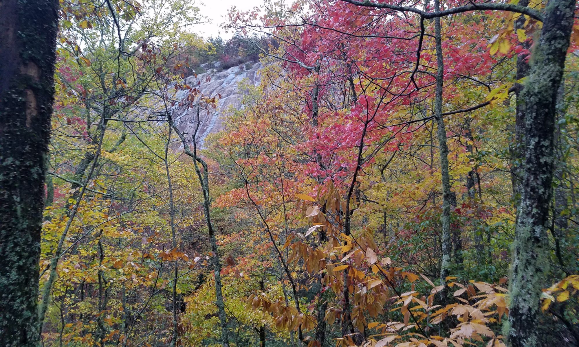 Beautiful View from Art Loeb Trail